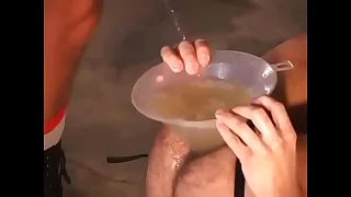 Gay botheration full of piss
